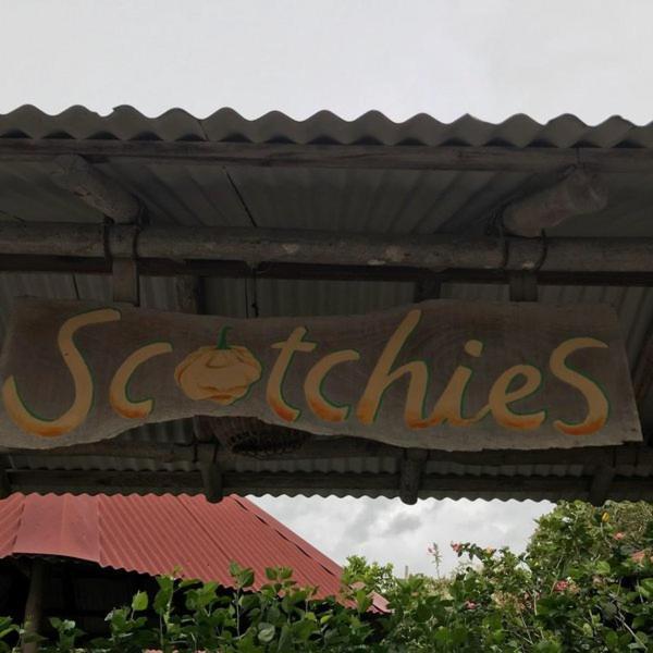 Savannah'S Place Mammee Bay Exterior foto